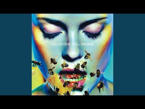 Collective Soul — Compliment