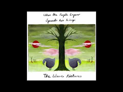 The Wave Pictures — The Wave Pictures - Walking To Wymeswold