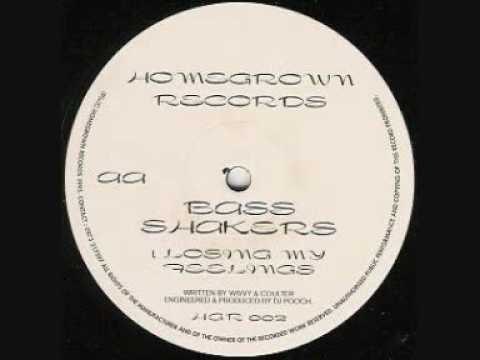 Bass Shakers — BASS SHAKERS  -  LOSING MY FEELINGS