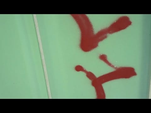 Nika Son — Nika Son - Trinsar Gobble