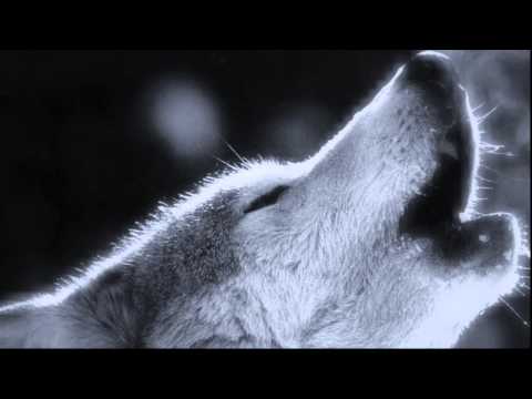 Ostara — OSTARA - Lone Wolf Cry