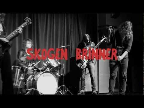 Skogen Brinner — Skogen Brinner - Pundarvarning (OFFICIAL MUSIC VIDEO)
