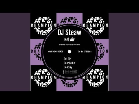 DJ Steaw — Destiny (Original Mix)