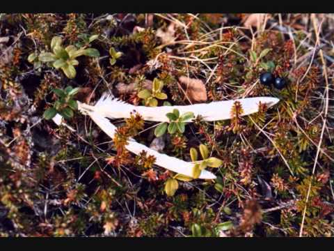 Mikko Kuustonen — Mikko Kuustonen - Tunnen tämän ikävän