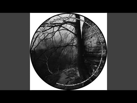 STL — Something Is Raw (Remastered)