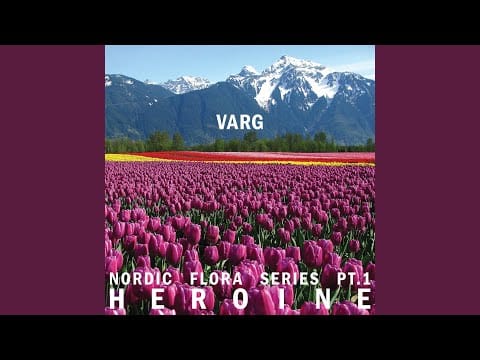 Varg (6) — Heroine I (Ck)