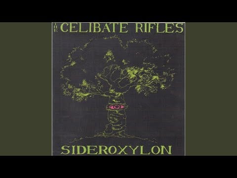 The Celibate Rifles — God Squad (2021 Remastered)