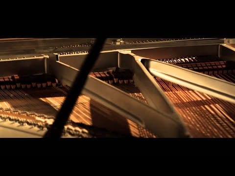 Grzegorz Turnau — Grzegorz Turnau - Na Plażach Zanzibaru (official video)