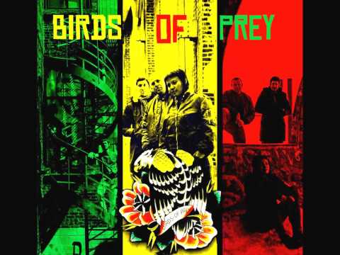 Birds Of Prey (4) — Birds of Prey - Heroes of the Night