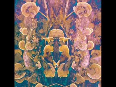Psycoholic — Laboratory X - Aquarius Kaya
