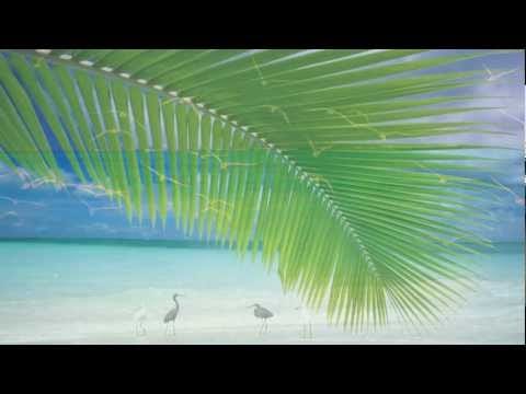 Billy Vaughn And His Orchestra — Billy Vaughn - Pearly Shells