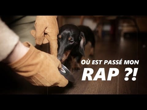 Yoshi Di Original — Yoshi Di Original - Où est passé mon Rap [Clip] Feat. DJ Djel (FF), DJ Poska & DJ Nels (TimeBomb)