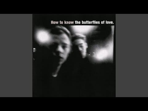 The Butterflies Of Love — Shame
