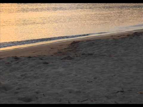 Ricardo Tobar — Ricardo Tobar - Straight Line in The Water