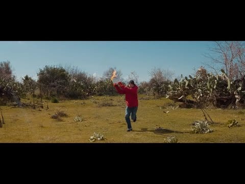 The Zen Circus — The Zen Circus - Il fuoco in una stanza