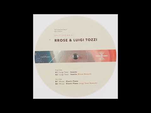 Rrose — Luigi Tozzi - Insecta (Rrose Rework) [TKST001]