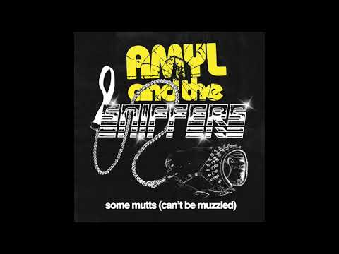 Amyl and the Sniffers — Amyl and the Sniffers - Some Mutts  Official Audio