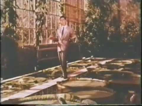 Remo Germani — Remo Germani Da doo ron ron