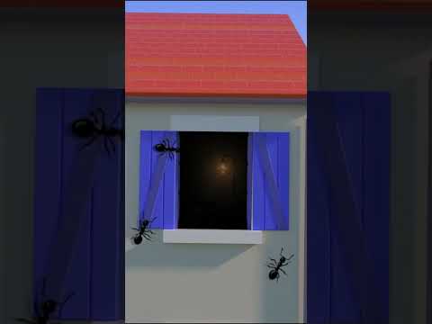 Voyou (3) — Voyou - Les insectes (Visualizer)