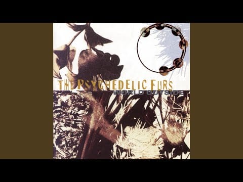 The Psychedelic Furs — Until She Comes