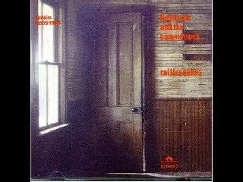 Lloyd Cole & The Commotions — Lloyd Cole and The Commotions - Down on Mission Street