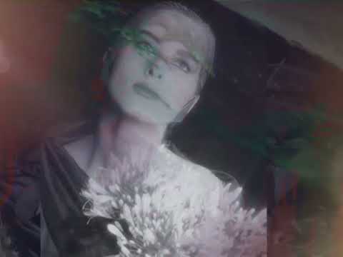 Shakti — Shakti [Featuring Jade 4 U] - Rainbows