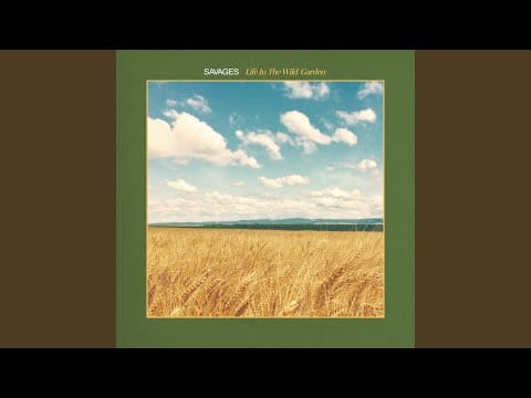 Savages — Moon Over the Fields