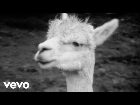 Johnny Flynn — Johnny Flynn - Country Mile