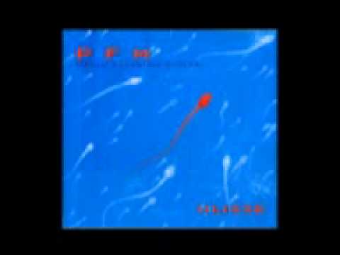 Premiata Forneria Marconi — PFM - Andare Per Andare