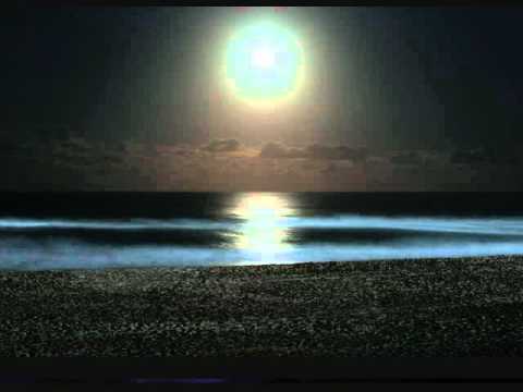 Southern Culture On The Skids — Southern Culture on the Skids - Where is the Moon