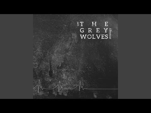 The Grey Wolves — Seizure