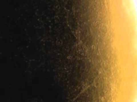 cv313 — Cv313 ‎- Deepspace