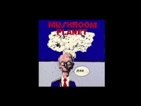 Mushroom Planet — Mushroom Planet- Some Other Day