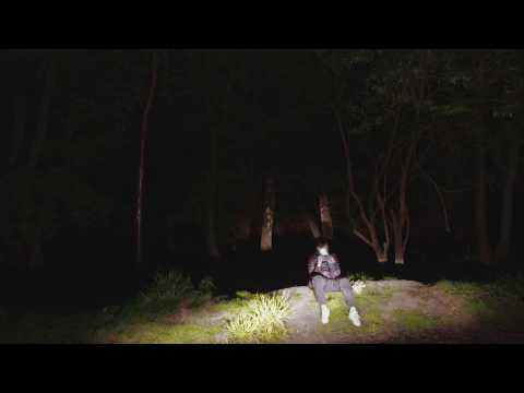 Palmistry — Palmistry - Lifted - OFFICIAL VIDEO