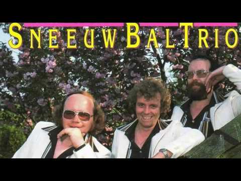 Sneeuwbal Trio — Sneeuwbal Trio ♪ Metsel Billie ♫