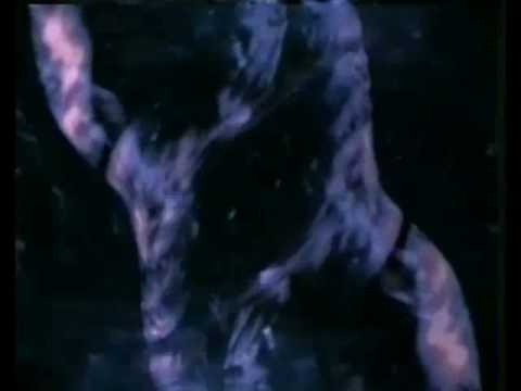 William Orbit — William Orbit - Harry Flowers (filmed by Simon Hilton)
