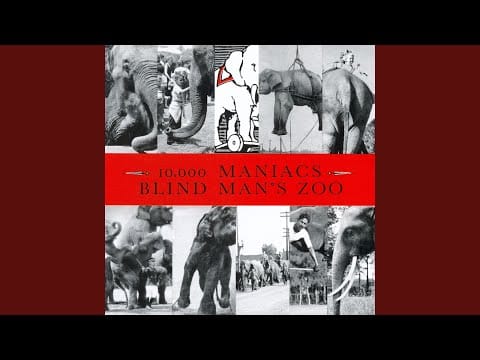 10,000 Maniacs — Hateful Hate