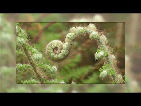 SYT — SYT - Beauty Unfold (Unfolded Dub)
