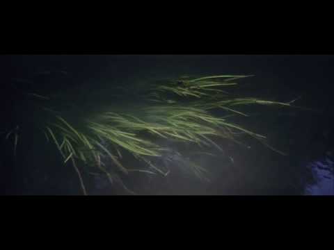 Electronic Music Experiment Studio Ensemble — Solaris. Eduard Artemyev