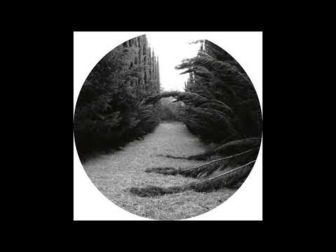 Ladan — Ladan - Spectres [SUBL001]