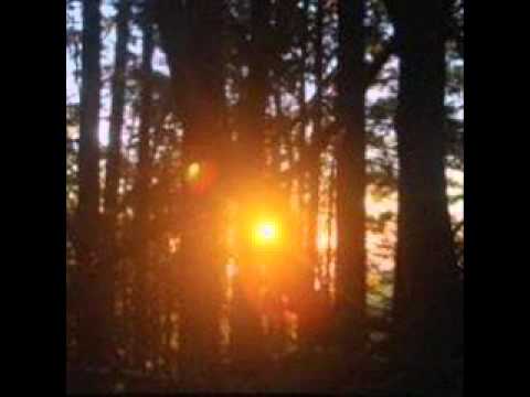 Barefoot Jerry — Barefoot Jerry Smokies