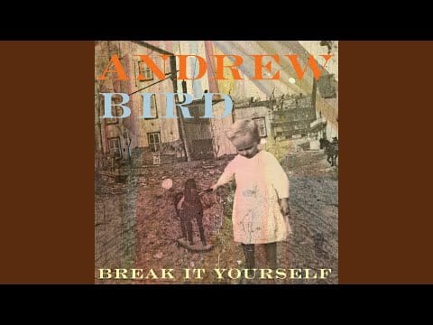 Andrew Bird — Fatal Shore