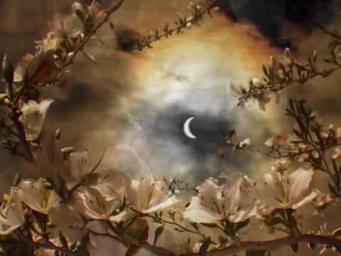 Carlos Santana — Carlos Santana - Moonflower (Instrumental)