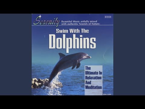 John St. John — Swim with the Dolphins