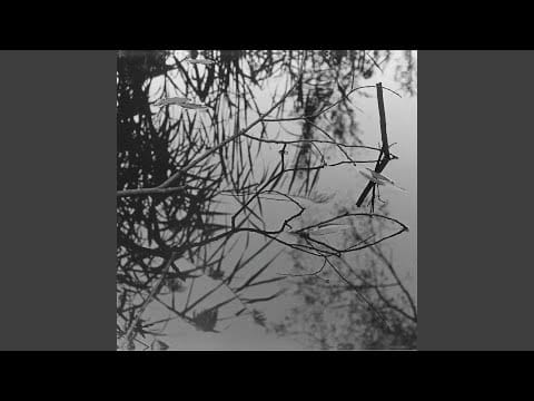 Antony and the Johnsons — Swanlights
