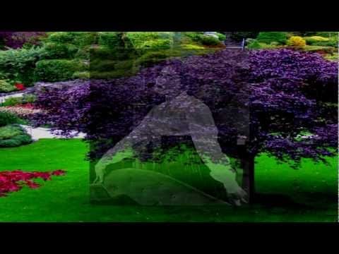 Julie Andrews — Julie Andrews - It Might As Well Be Spring
