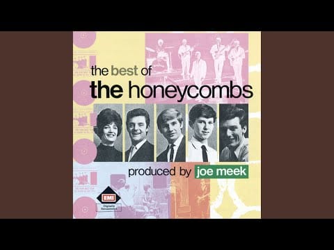 The Honeycombs — Nice While It Lasted