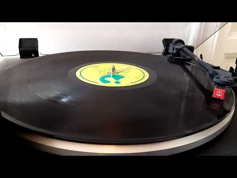 Vic Vergeat — VIC VERGAT - Down to the bone -1981