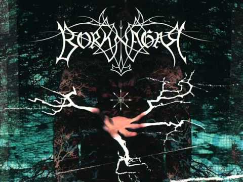 Borknagar — Borknagar - The black canvas