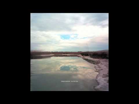 Tomas Barfod — Came To Party - Tomas Barfod [Salton Sea] (2012)